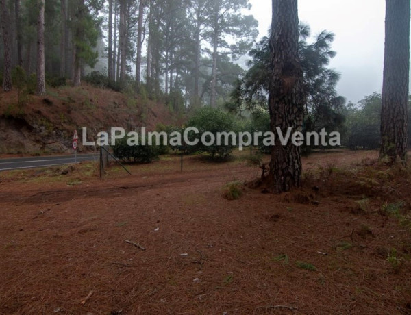 Rustic land For sell in Roque Faro in Santa Cruz de Tenerife 