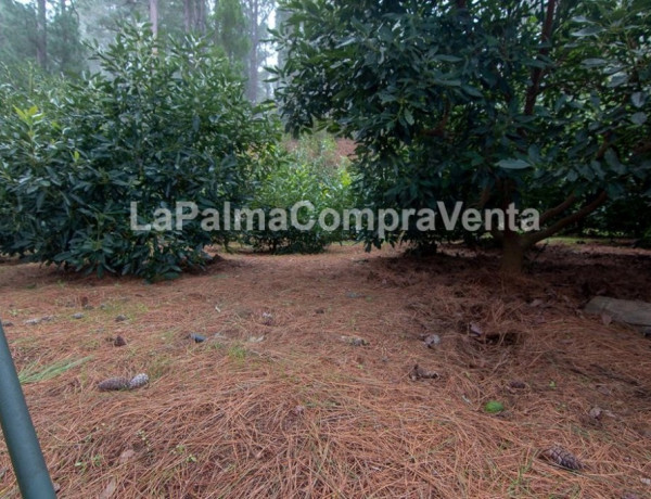 Rustic land For sell in Roque Faro in Santa Cruz de Tenerife 