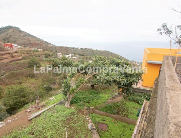 Casa-Chalet en Venta en Barlovento Santa Cruz de Tenerife 