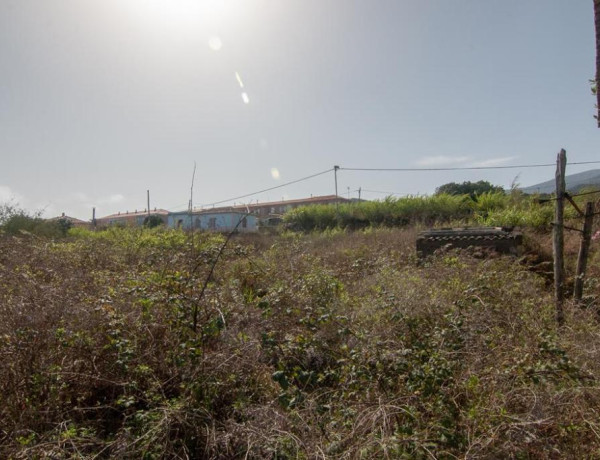 Land being developed For sell in Barlovento in Santa Cruz de Tenerife 