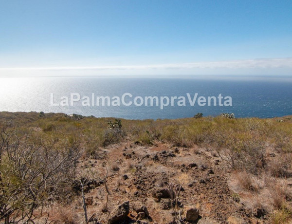 Land being developed For sell in Tricias, Las in Santa Cruz de Tenerife 