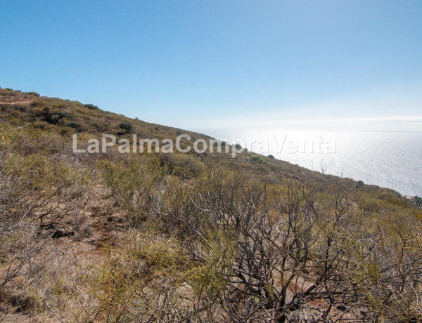 Land being developed For sell in Tricias, Las in Santa Cruz de Tenerife 