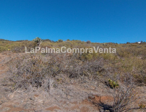 Land being developed For sell in Tricias, Las in Santa Cruz de Tenerife 