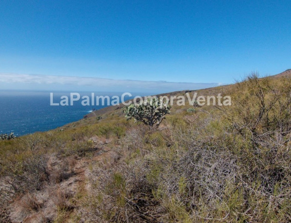 Land being developed For sell in Tricias, Las in Santa Cruz de Tenerife 