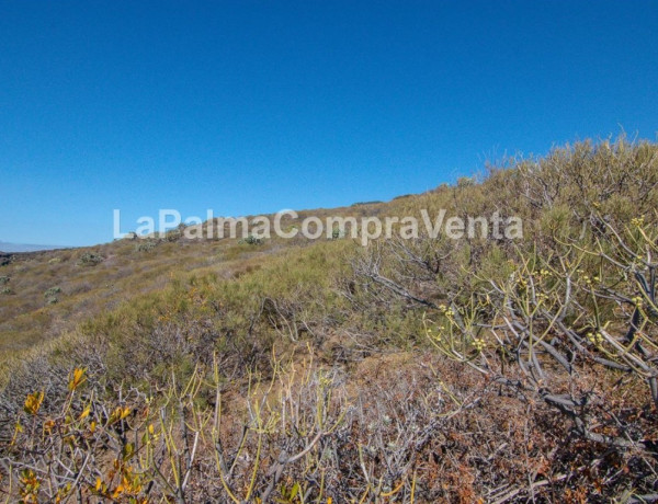 Land being developed For sell in Tricias, Las in Santa Cruz de Tenerife 