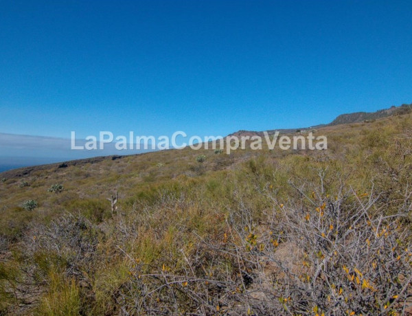 Land being developed For sell in Tricias, Las in Santa Cruz de Tenerife 