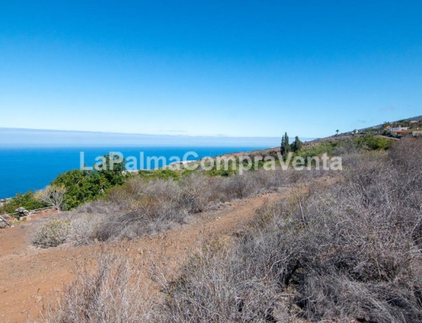 Rustic land For sell in Tijarafe in Santa Cruz de Tenerife 