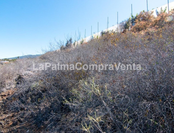 Rustic land For sell in Tijarafe in Santa Cruz de Tenerife 