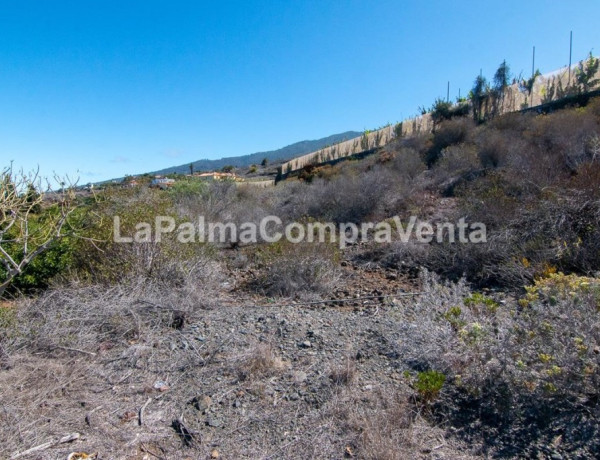 Rustic land For sell in Tijarafe in Santa Cruz de Tenerife 