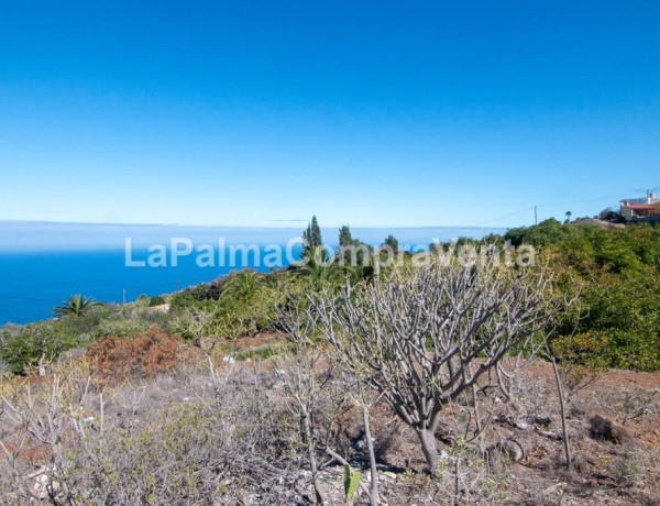 Rustic land For sell in Tijarafe in Santa Cruz de Tenerife 