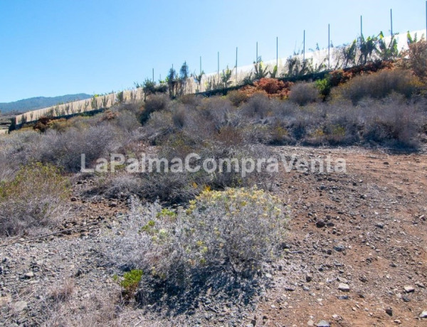 Rustic land For sell in Tijarafe in Santa Cruz de Tenerife 