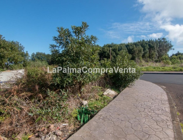 Industrial land For sell in Barlovento in Santa Cruz de Tenerife 