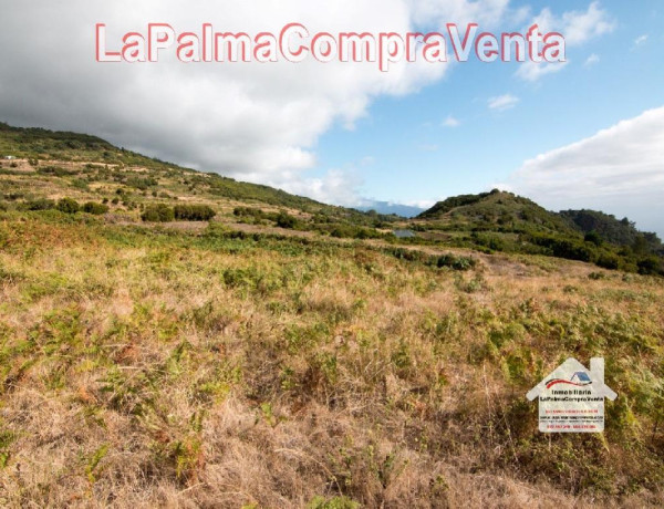 Residential land For sell in Villa De Mazo in Santa Cruz de Tenerife 