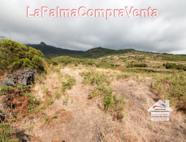 Residential land For sell in Villa De Mazo in Santa Cruz de Tenerife 