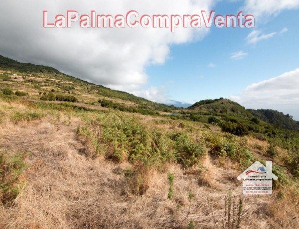 Residential land For sell in Villa De Mazo in Santa Cruz de Tenerife 