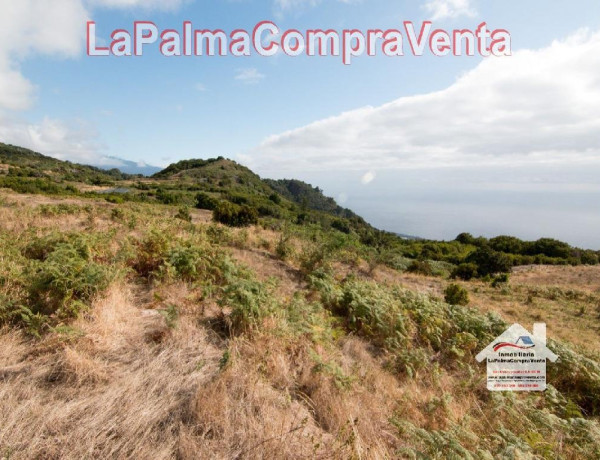 Residential land For sell in Villa De Mazo in Santa Cruz de Tenerife 