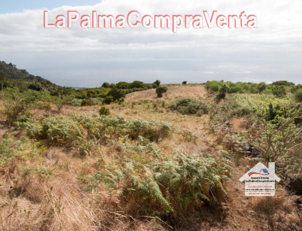 Residential land For sell in Villa De Mazo in Santa Cruz de Tenerife 