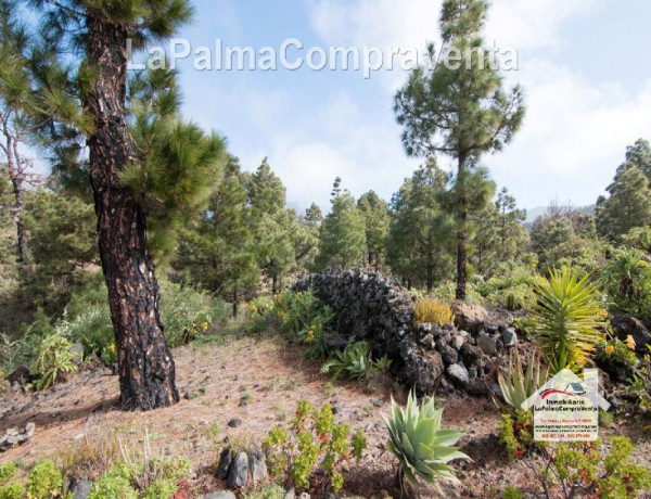 Casa-Chalet en Venta en Paso, El Santa Cruz de Tenerife