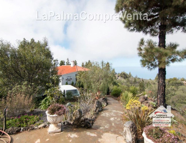 Casa-Chalet en Venta en Paso, El Santa Cruz de Tenerife