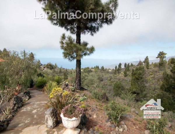 Casa-Chalet en Venta en Paso, El Santa Cruz de Tenerife