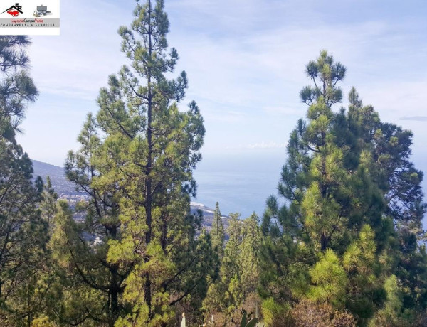 Rustic land For sell in Tijarafe in Santa Cruz de Tenerife 