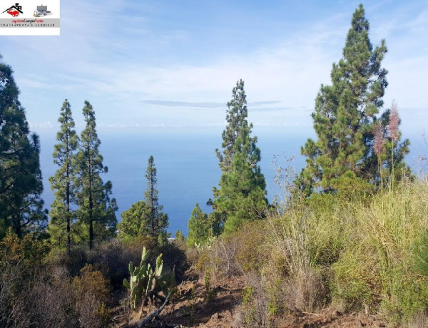 Rustic land For sell in Tijarafe in Santa Cruz de Tenerife 