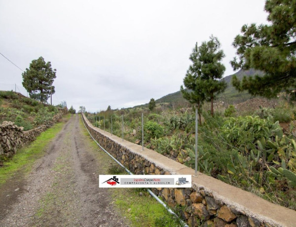 Solar residencial en Venta en Paso, El Santa Cruz de Tenerife