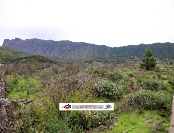 Residential land For sell in Paso, El in Santa Cruz de Tenerife 