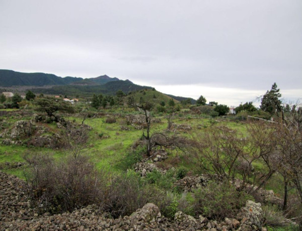 Residential land For sell in Paso, El in Santa Cruz de Tenerife 