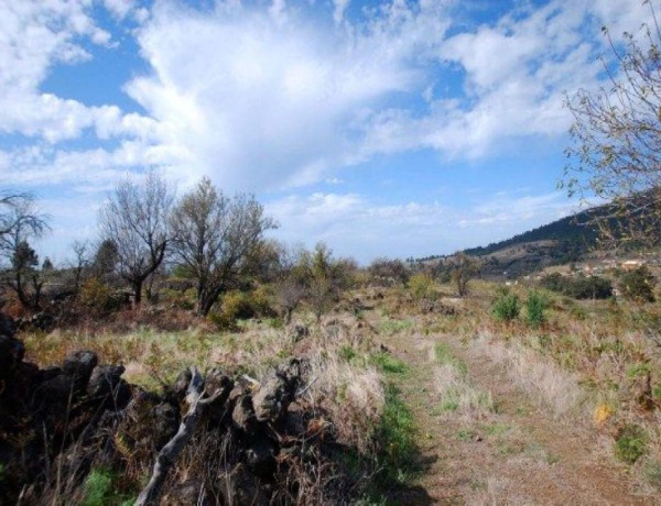 Solar residencial en Venta en Paso, El Santa Cruz de Tenerife