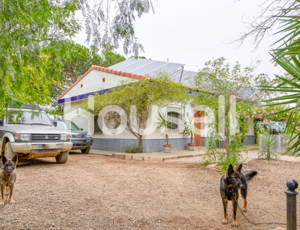 Town house For sell in Ronquillo, El in Sevilla 