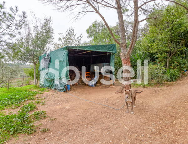 Town house For sell in Ronquillo, El in Sevilla 