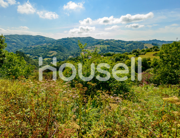 Town house For sell in Bimenes in Asturias 