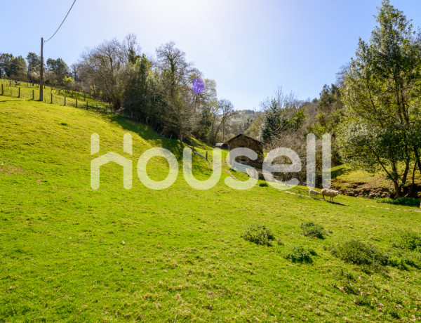 Town house For sell in Bimenes in Asturias 