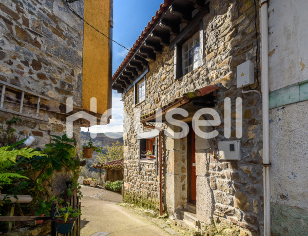 Town house For sell in Campo De Caso in Asturias 