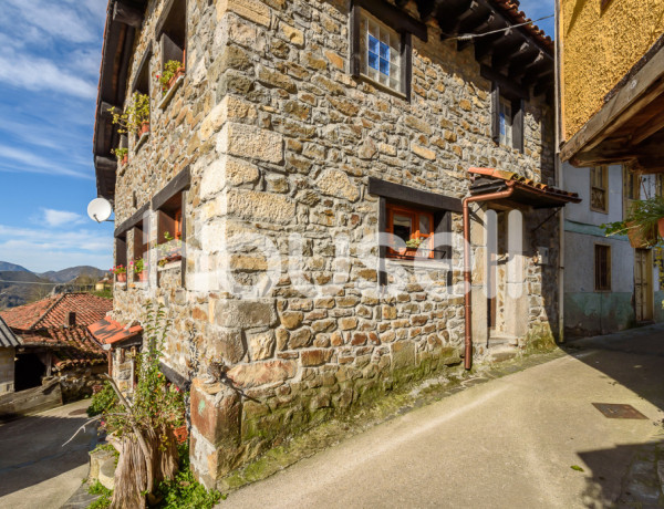 Town house For sell in Campo De Caso in Asturias 