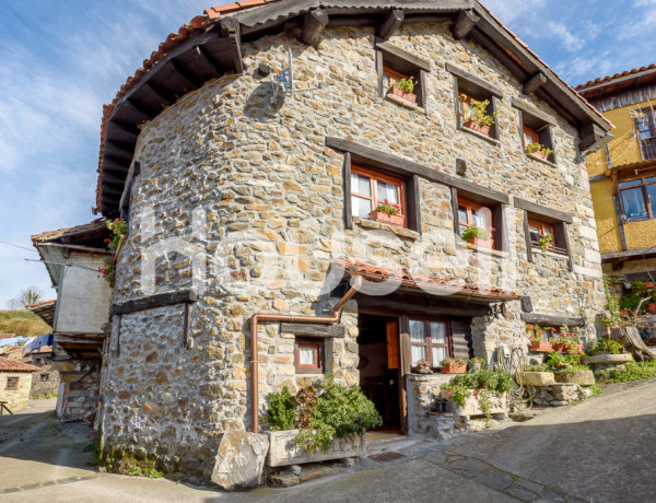 Town house For sell in Campo De Caso in Asturias 