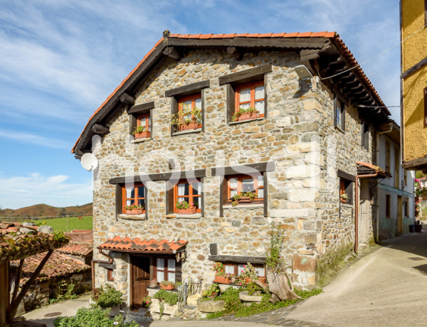 Town house For sell in Campo De Caso in Asturias 