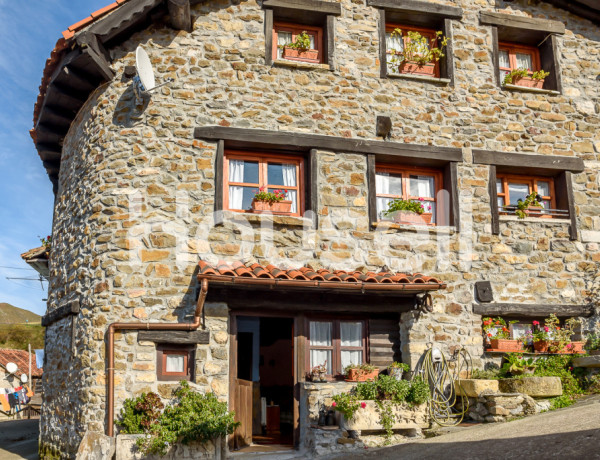 Town house For sell in Campo De Caso in Asturias 