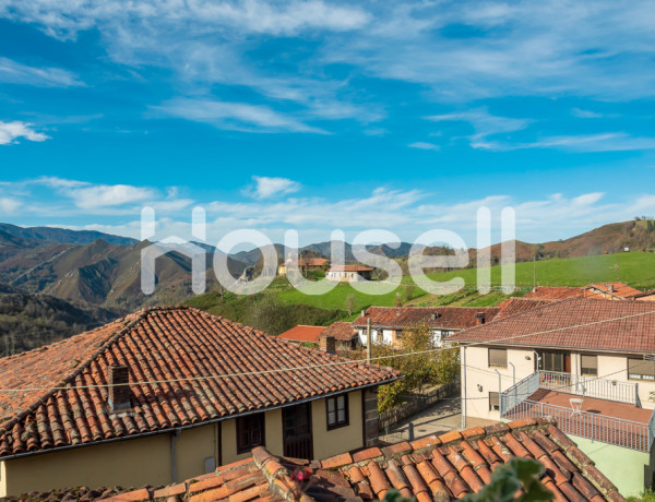 Town house For sell in Campo De Caso in Asturias 