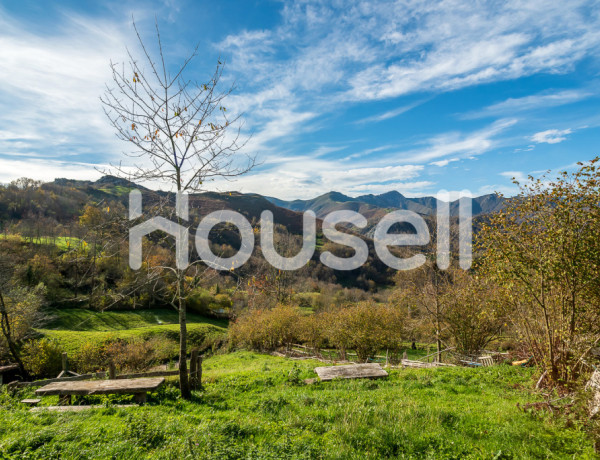 Town house For sell in Campo De Caso in Asturias 