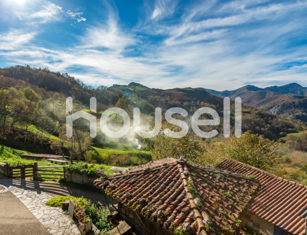 Town house For sell in Campo De Caso in Asturias 