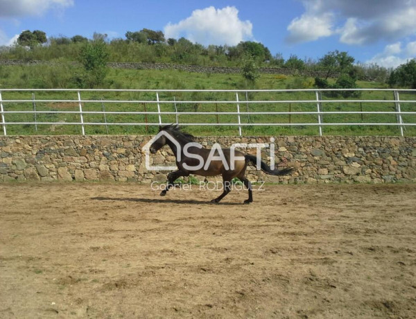 Rustic land For sell in Higuera De Vargas in Badajoz 