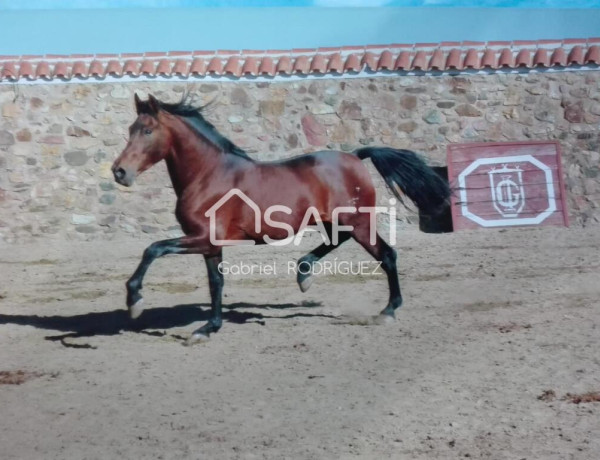 Plaza de toros, Badajoz (Extremadura) Venta de Fnca