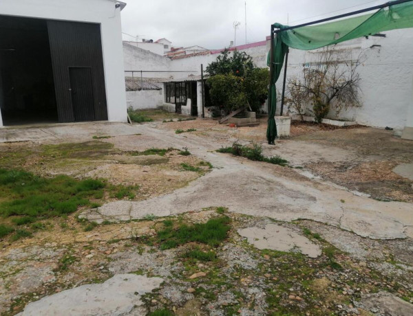 CASA EN PLANTA BAJA CON ACCESO A DOS CALLES