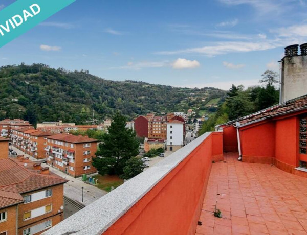 Vive la Naturaleza en Duplex: Tu Refugio en el Corazón de Asturias