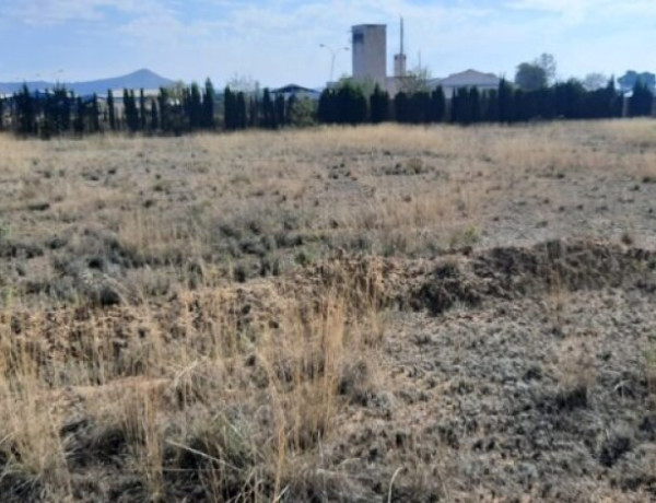 Rustic land For sell in Yecla in Murcia 