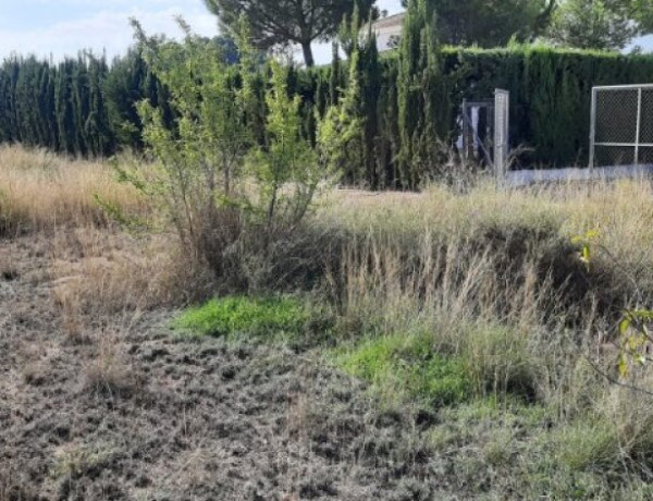 Rustic land For sell in Yecla in Murcia 