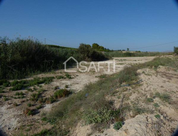 Encantadora parcela de olivos, Fortuna Murcia.