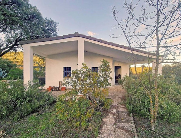 IMPRESIONANTE TERRENO DE 60 HECTÁREAS CON CASA RÚSTICA EN VALDEMORILLO, MADRID.